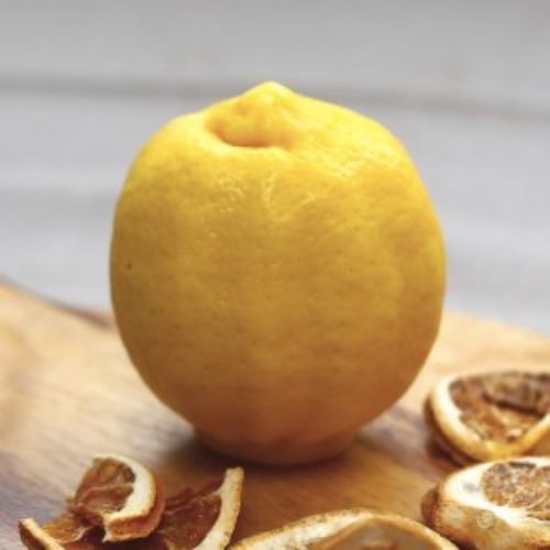수제몰드 - 레몬 2